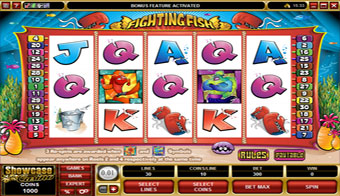 Fighting Fish Video Spielautomat
