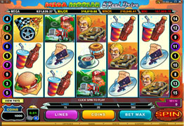 Mega Moolah 5 Rollen Drive Video Spielautomat 